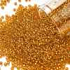 TOHO 11/0 Round Beads X-SEED-TR11-0030B-1