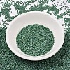 MIYUKI Delica Beads X-SEED-J020-DB2311-2