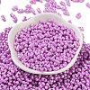 Glass Seed Beads SEED-L011-04A-05-2