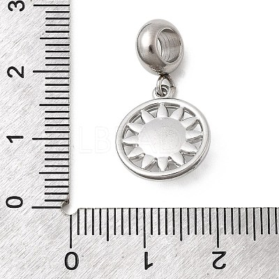304 Stainless Steel Crystal Rhinestone European Dangle Charms STAS-D153-06A-P-1