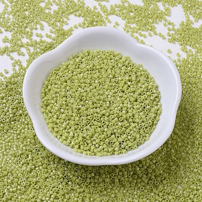 MIYUKI Delica Beads SEED-J020-DB0262-1