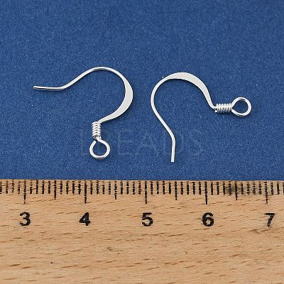 Brass Earring Hooks KK-H258-06E-S-1