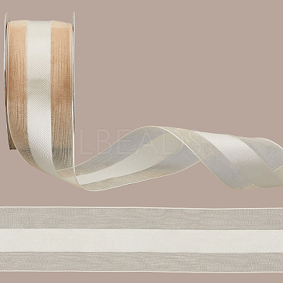 Polyester Ribbon OCOR-WH20013-005E-1