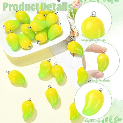 Mango Opaque Acrylic Pendants FIND-CJZ0001-007-1