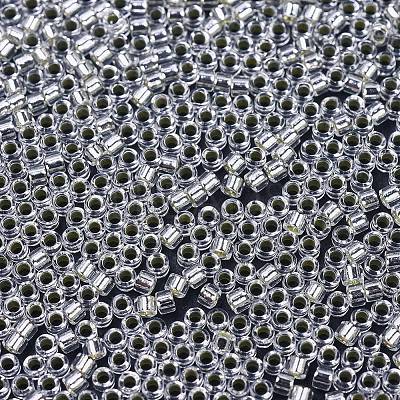 MIYUKI Delica Beads X-SEED-J020-DB0041-1