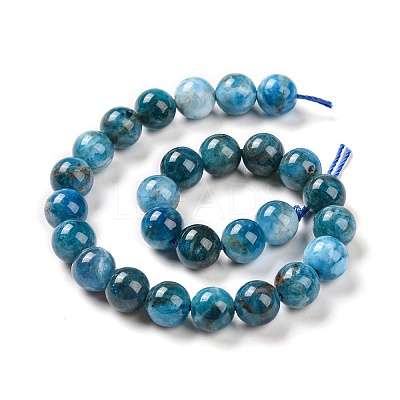 Natural Apatite Beads Strands G-S333-8mm-031A-1