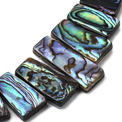 Natural Paua Shell Beads Strands BSHE-S305-01A-1