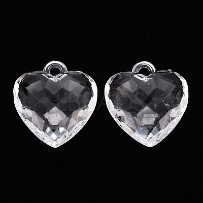 Transparent Acrylic Pendants TACR-T024-03B-205-1