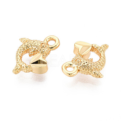 Brass Charms X1-KK-N263-119D-G-1