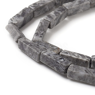 Natural Map Stone/Picasso Stone/Picasso Jasper Beads Strands X-G-G837-05-1