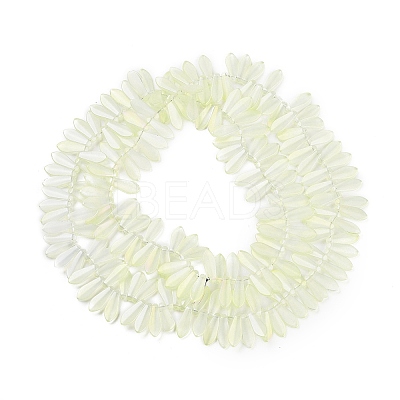 Electroplate Glass Beads Strands X-EGLA-C005-01A-FR02-1