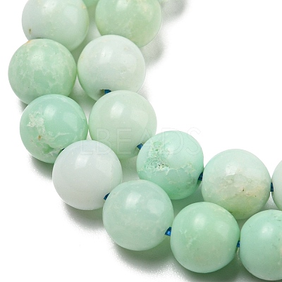 Grade A Natural Chrysoprase Beads Strands G-R494-A02-02-1