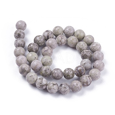 Natural Maifanite/Maifan Stone Beads Strands G-F353-4mm-1