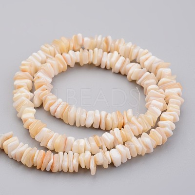 Natural Shell Bead Strands X-BSHE-P021-03-1