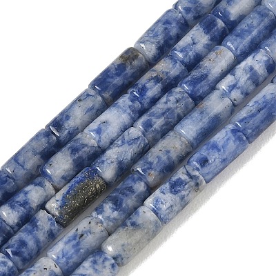 Natural Blue Spot Jasper Beads Strands GG-B091-A25-01-1