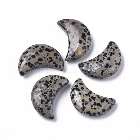 Moon Shape Natural  Dalmatian Jasper Healing Crystal Pocket Palm Stones X-G-T132-001-1