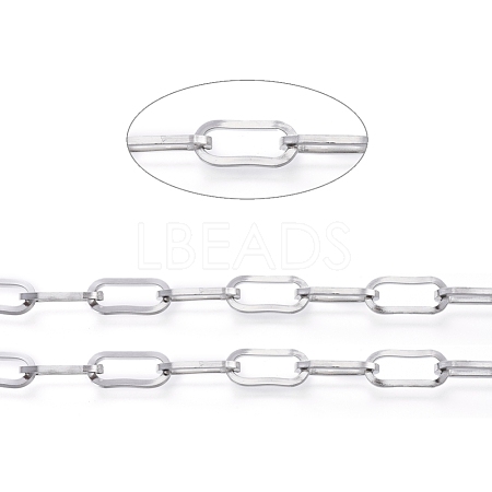 Tarnish Resistant 304 Stainless Steel Paperclip Chains CHS-D030-02P-1