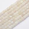 Natural Weathered Agate Beads Strands G-G705-10mm-04-1