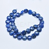 Natural Lapis Lazuli Beads Strands G-E446-01-12mm-2