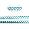 Electrophoresis 304 Stainless Steel Curb Chains CHS-I003-Q05-2