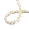 Natural White Shell Bead Strands SSHEL-N003-144D-01-4
