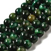 Grade AB+ Dyed Natural Tiger Eye Beads Strands G-G102-A01-03-1