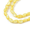 Natural Freshwater Shell Beads Strands X-SHEL-N003-25-B05-3