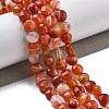 Natural Red Agate Beads Strands G-C179-A02-02-1