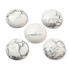 Natural Howlite Cabochons G-C115-02B-12-1