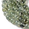 Natural Prehnite Beads Strands G-G474-A01-10mm-4