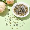 340Pcs 10 Styles Sew on Rhinestone KK-YW0002-36-4