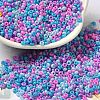 Baking Paint Glass Seed Beads SEED-P006-03A-19-1