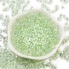 6/0 Inside Colours Fringe Glass Seed Beads SEED-A034-03E-2