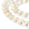 Transparent Glass Beads Strand GLAA-F112-01C-1