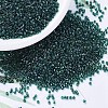 MIYUKI Delica Beads SEED-MY11-DB0275-1