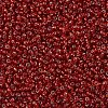 MIYUKI Round Rocailles Beads X-SEED-G007-RR0011-3