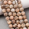 Natural Feldspar Bead Strands G-P295-06-8mm-8