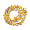 Freshwater Shell Beads Strands SHEL-S276-31-3