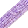 Natural Freshwater Shell Dyed Beads Strands SHEL-R100-11A-04-1