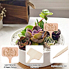 30Pcs Wooden Plant Labels DIY-GF0014-19A-5