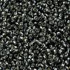 MIYUKI Round Rocailles Beads SEED-X0056-RR0021-3