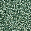 MIYUKI Delica Beads SEED-X0054-DB2190-3
