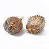 Natural Leopard Skin Jasper Pendants G-N332-50-02-3