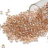 TOHO 6/0 Round Beads X-SEED-TR06-0031-1