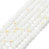 Opaque Glass Beads Strands EGLA-A035-P6mm-L01-1