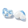 Glazed Porcelain Beads PORC-K003-04C-2
