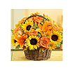 A Basket of Sunflower DIY Diamond Painting Kits PW-WG58490-01-1