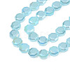 Electroplate Glass Beads Strands EGLA-N002-27-E04-3
