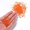 12/0 Glass Seed Beads X1-SEED-A007-2mm-169B-4