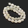 Nuggets Natural White Moonstone Beads Strands G-J336-11-2